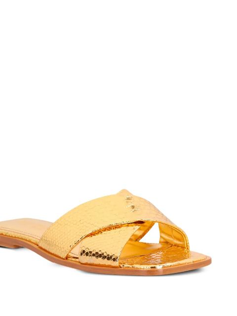 Paris Texas Montecarlo slides - Gold