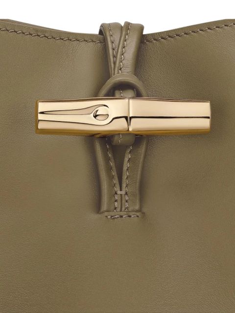 Longchamp Le Roseau M bag - Green