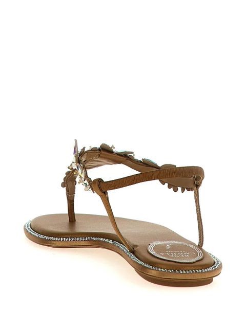 René Caovilla Diana sandals - Brown - zdjęcie produktu nr 2