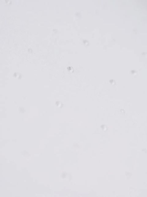 Alexander Wang lettering cotton T-shirt - White