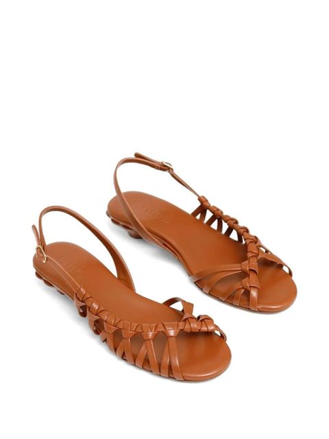 Chloé Estra sandals - Brown - zdjęcie produktu nr 2