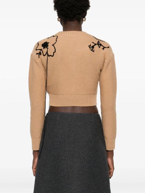 Max Mara embroidered sweater - Brown