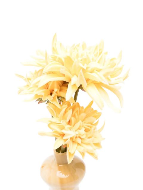 Cult Gaia Dee Dee clutch bag - Neutrals