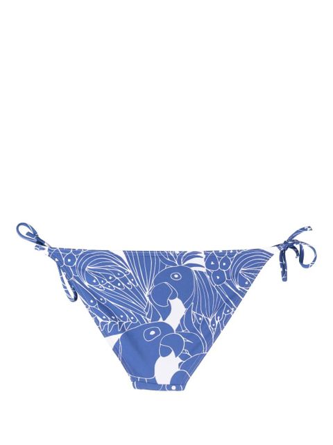 ERES Gerardo bird-print bikini bottoms - Blue