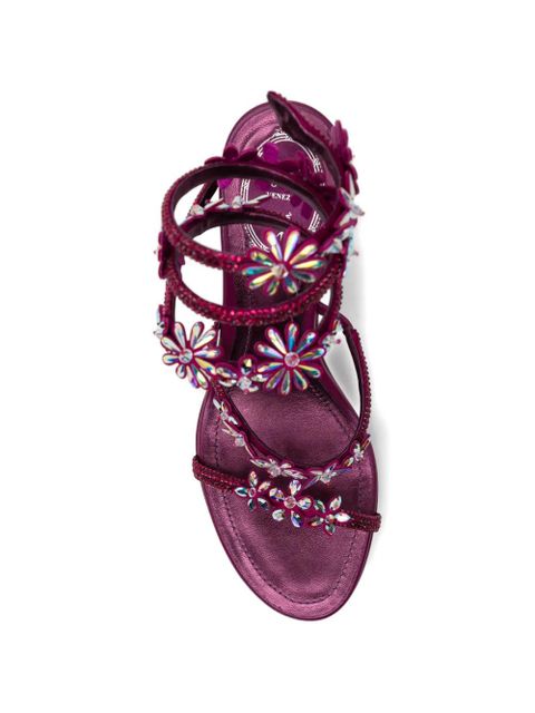 René Caovilla 105mm Cassie sandlas - Purple