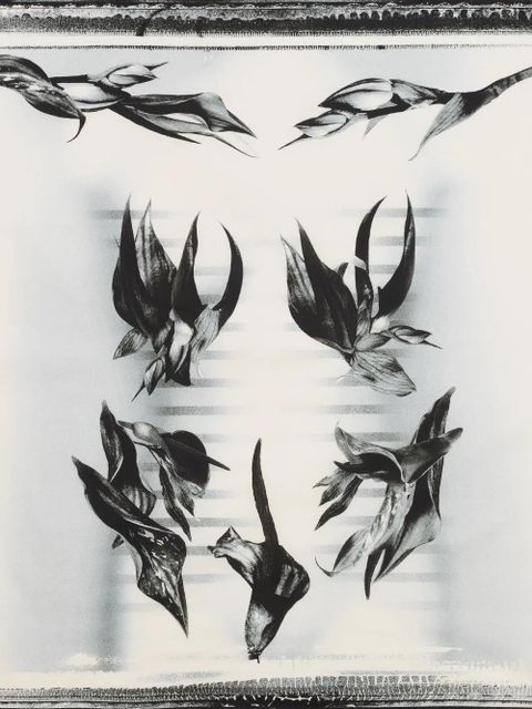 Jean Paul Gaultier printed sarong - White - zdjęcie produktu nr 2