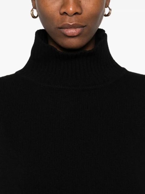 Weekend Max Mara high-neck ribbed sweater - Black