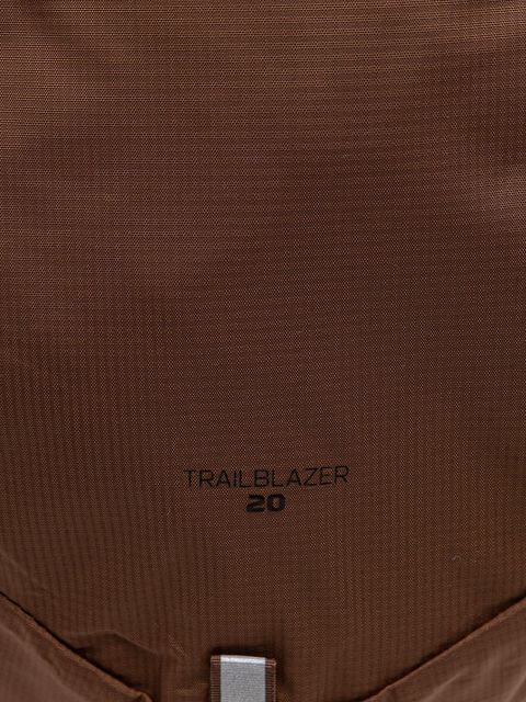 Salomon plecak TRAILBLAZER 20