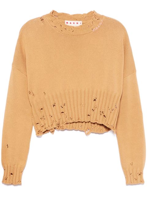 Marni cropped sweater - Brown - zdjęcie produktu nr 1