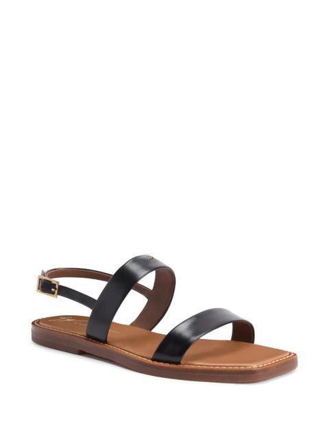 Giuseppe Zanotti calf leather strap sandals - Black - zdjęcie produktu nr 2