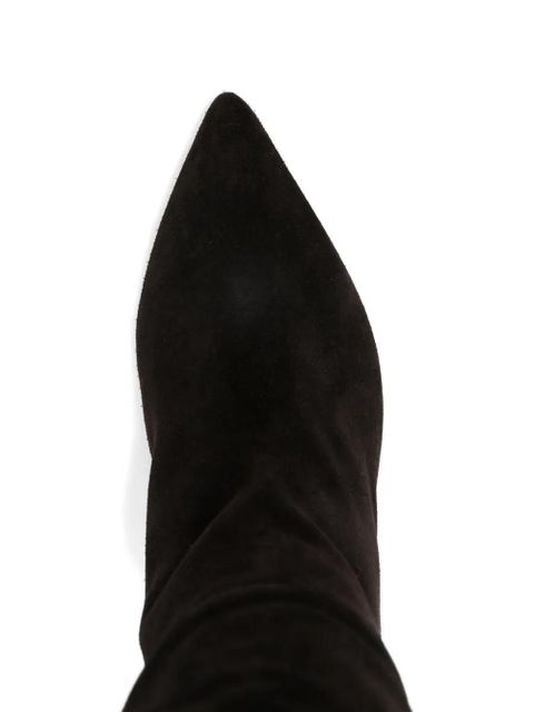 Paris Texas pointed calf suede boots - Brown