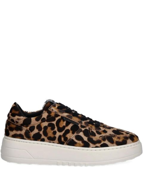 Copenhagen leopard-print sneakers - Brown - zdjęcie produktu nr 1