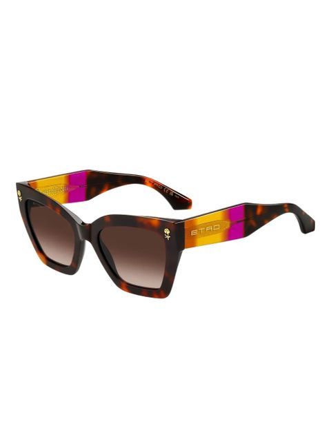 ETRO Colour Stripes sunglasses - Brown