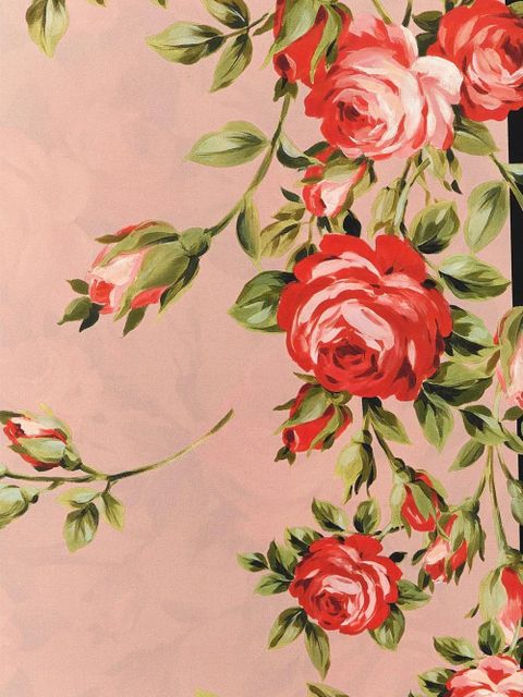 Dolce & Gabbana rose-print twill scarf - Pink