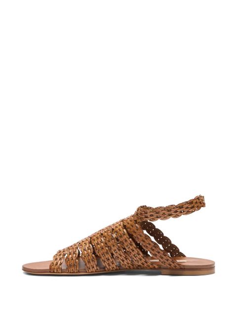 Casadei woven buckled sandals - Brown