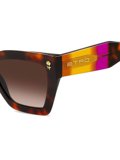 ETRO Colour Stripes sunglasses - Brown