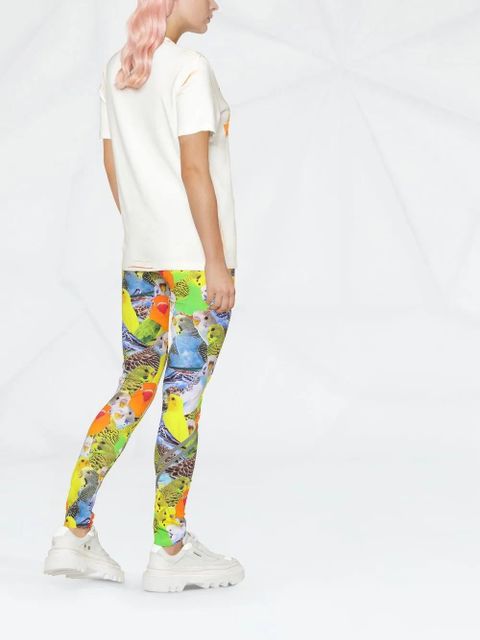 LOEWE bird-print leggings - Blue