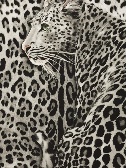 Dolce & Gabbana leopard-print scarf - Black