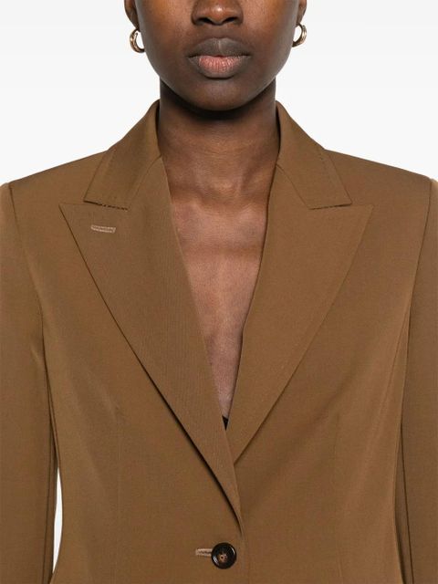Max Mara Palchi blazer - Brown