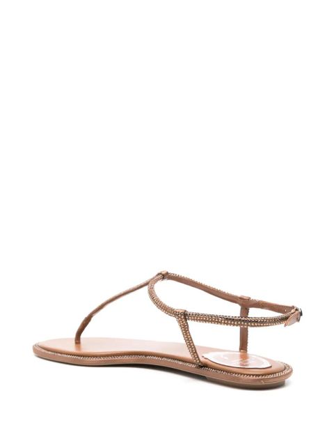 René Caovilla Diana sandals - Brown