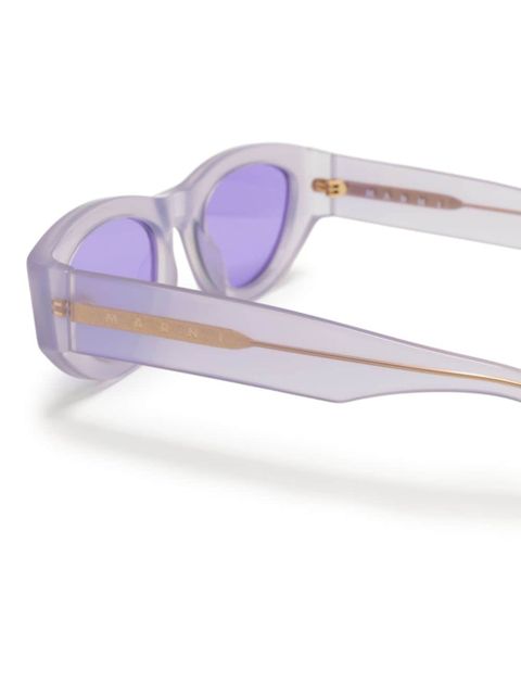 Marni Eyewear Rainbow Mountains cat-eye sunglasses - Purple