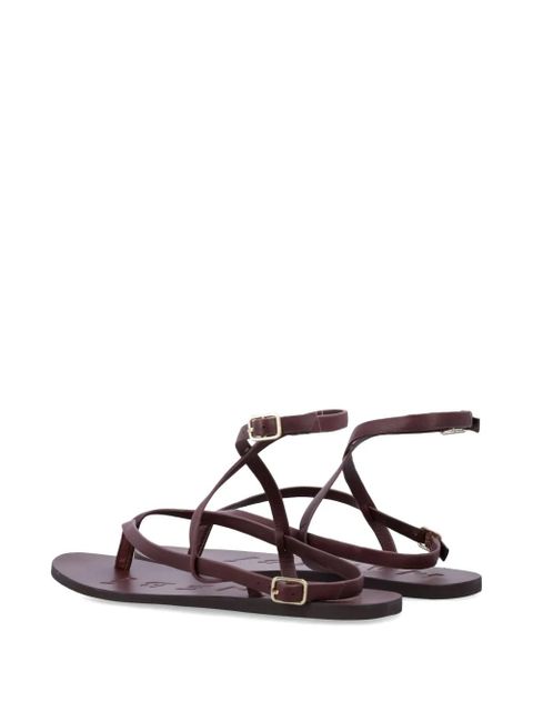 Manebi crossover thong sandals - Brown