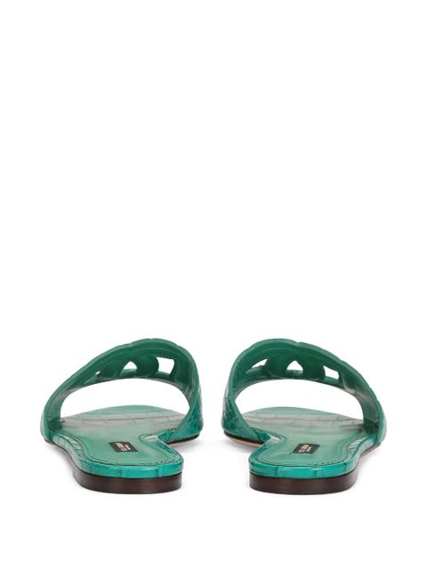 Dolce & Gabbana DG Millennials leather sandals - Green