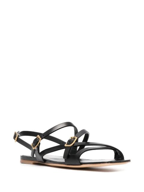 Tod's crossover buckled sandals - Black - zdjęcie produktu nr 2