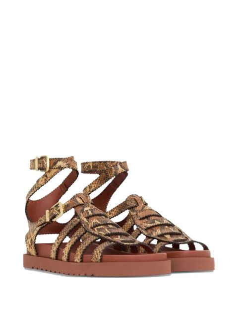 ZIMMERMANN Goldie Gladiator buckle sandals - Brown