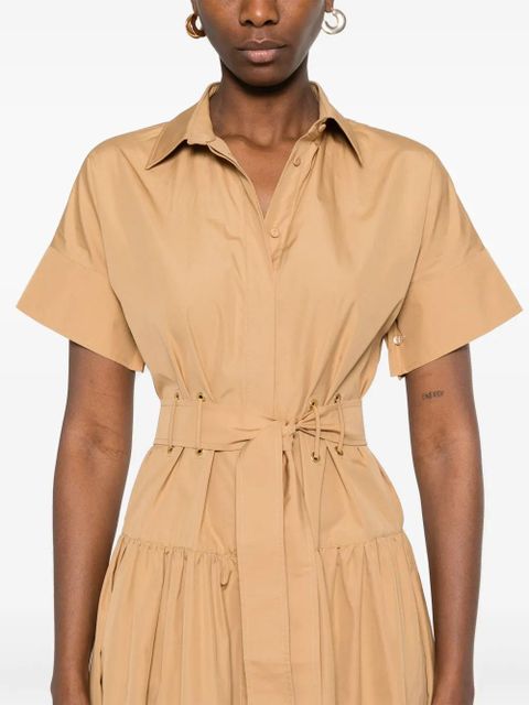Max Mara Agoraio midi dress - Brown