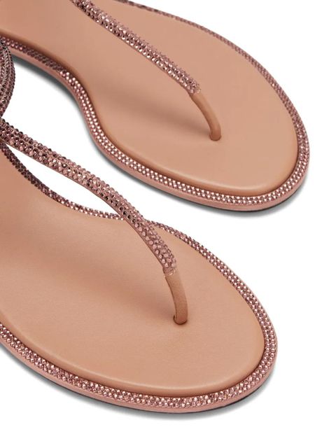 René Caovilla Petra sandals - Brown
