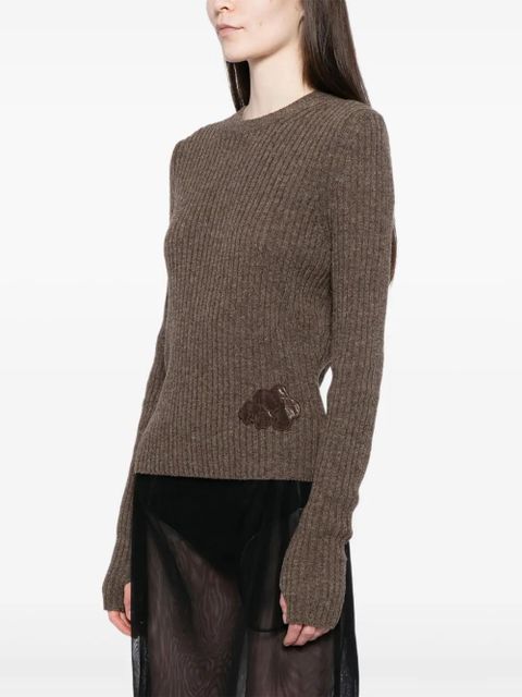 Cecilie Bahnsen Blas jumper - Brown