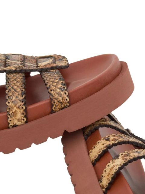 ZIMMERMANN Goldie Gladiator buckle sandals - Brown