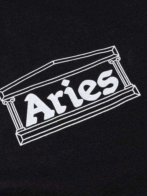 Aries longsleeve bawełniany Temple LS Tee