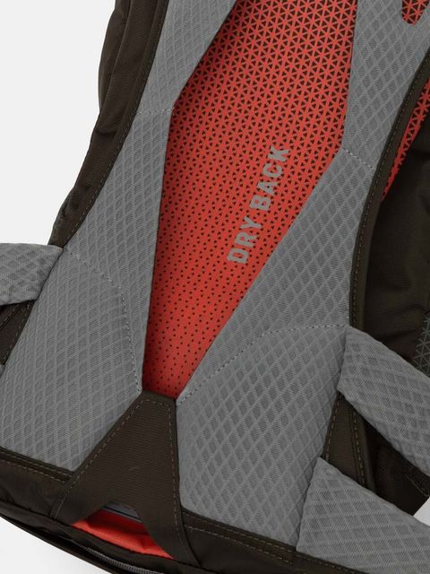 Salewa plecak Alp Trainer