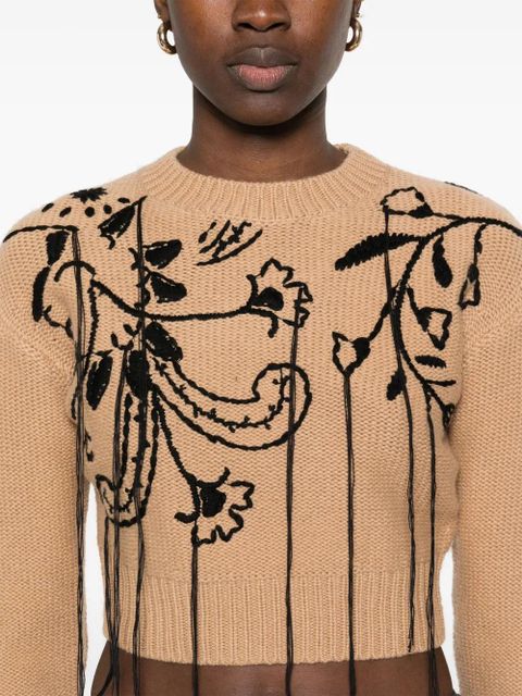 Max Mara embroidered sweater - Brown