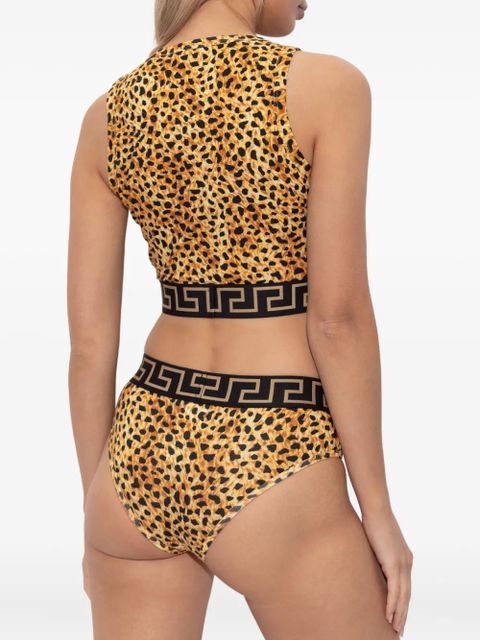 Versace Cheetah-print briefs - Yellow