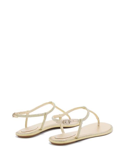 René Caovilla Diana crystal-embellished leather sandals - Gold