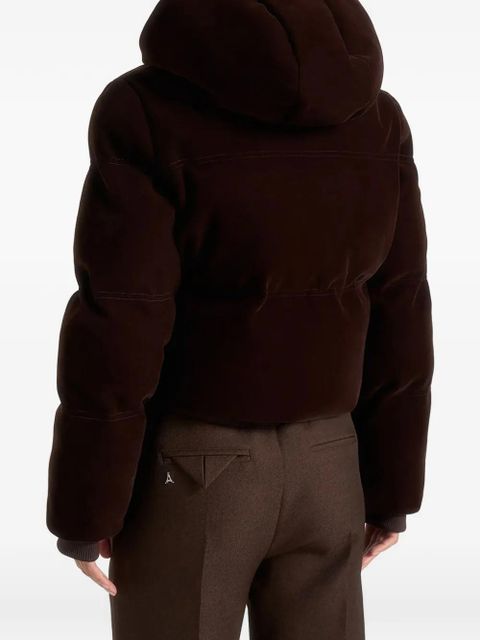 Manière De Voir velvet cropped jacket - Brown