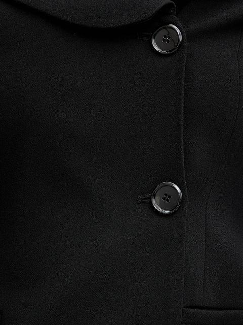 Pinko marynarka kolor czarny jednorzędowa gładka 106132 A304