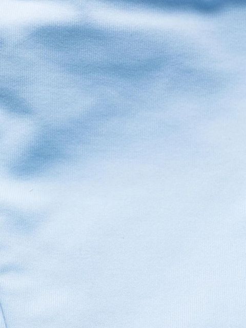 Magda Butrym floral-appliqué bikini top - Blue