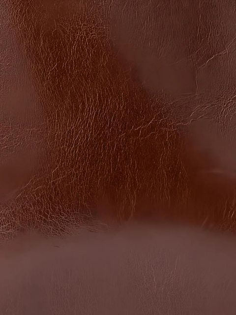 BY FAR Camryn leather shoulder bag - Brown