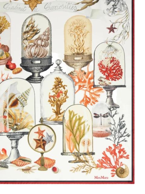 Max Mara printed scarf - Neutrals