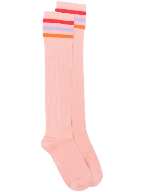 Marni striped-edge ribbed knee socks - Pink