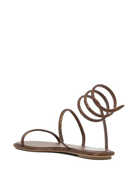 René Caovilla Cleo sandals - Brown