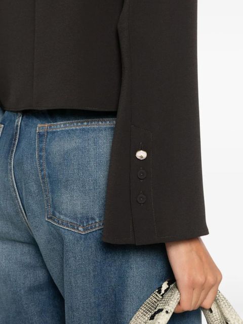 PINKO Bucatini flared-sleeve blouse - Brown