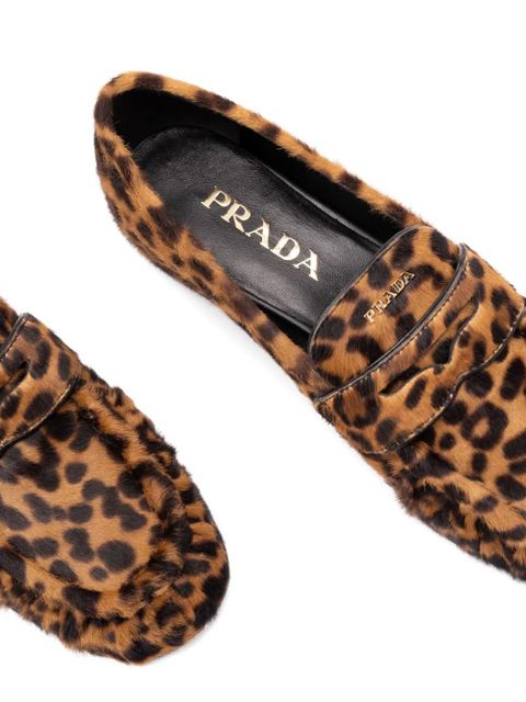 Prada leopard loafers - Brown