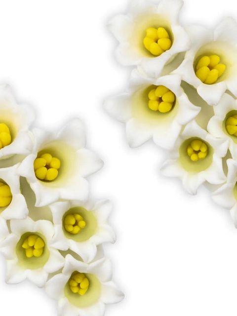 Jennifer Behr Val floral-motif earrings - White