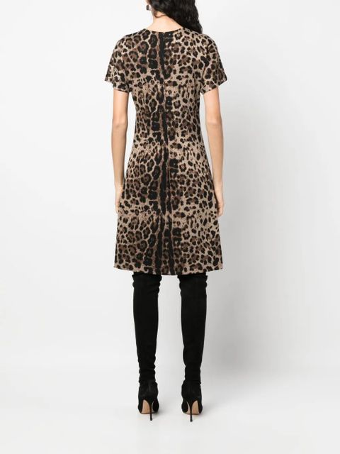 Dolce & Gabbana leopard-jacquard short-sleeved dress - Brown