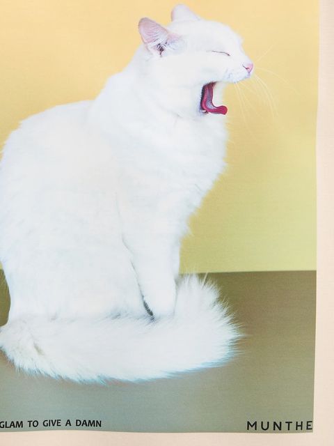 MUNTHE t-shirt RAPLOI damski kolor beżowy 254112525463